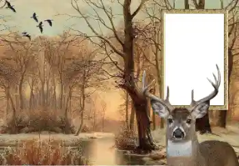 Fotoeffekt aus der Kategorie Verschiedene № 154607