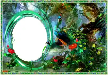 Fotoeffekt aus der Kategorie Verschiedene № 154704
