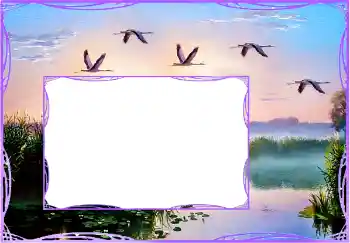 Fotoeffekt aus der Kategorie Verschiedene № 154759 Fotoeffekt aus der Kategorie Verschiedene № 154759
