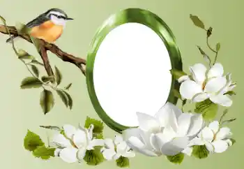 Fotoeffekt aus der Kategorie Verschiedene № 155868