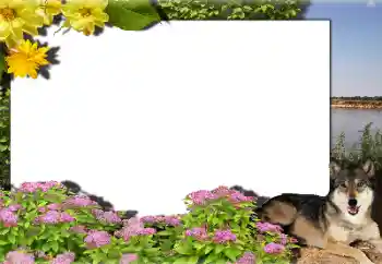 Fotoeffekt aus der Kategorie Verschiedene № 159462 Fotoeffekt aus der Kategorie Verschiedene № 159462