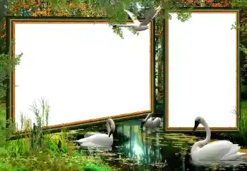 Fotoeffekt aus der Kategorie Verschiedene № 160922 Fotoeffekt aus der Kategorie Verschiedene № 160922