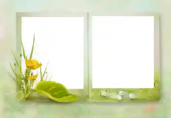 Fotoeffekt aus der Kategorie Verschiedene № 164751