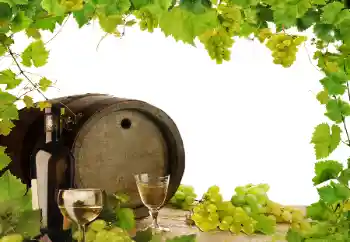 Fotoeffekt aus der Kategorie Verschiedene № 164780