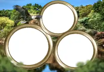 Fotoeffekt aus der Kategorie Verschiedene № 167860