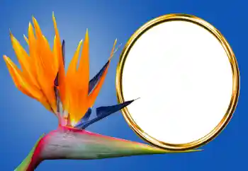 Fotoeffekt aus der Kategorie Verschiedene № 170605