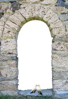 Fotoeffekt aus der Kategorie Verschiedene № 171681
