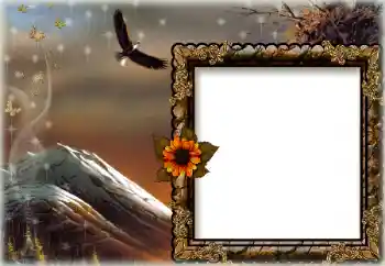Fotoeffekt aus der Kategorie Verschiedene № 172844 Fotoeffekt aus der Kategorie Verschiedene № 172844