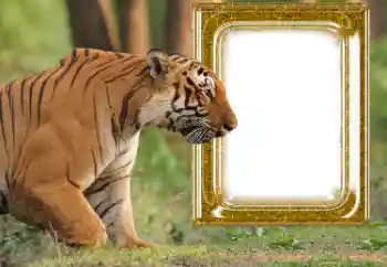Fotoeffekt aus der Kategorie Verschiedene № 176575