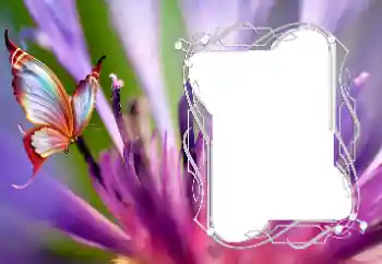 Fotoeffekt aus der Kategorie Verschiedene № 176776 Fotoeffekt aus der Kategorie Verschiedene № 176776