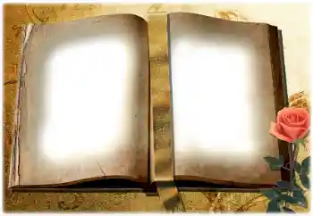 Fotoeffekt aus der Kategorie Verschiedene № 180729 Fotoeffekt aus der Kategorie Verschiedene № 180729