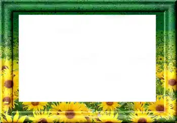 Fotoeffekt aus der Kategorie Verschiedene № 1816