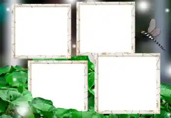 Fotoeffekt aus der Kategorie Verschiedene № 182236