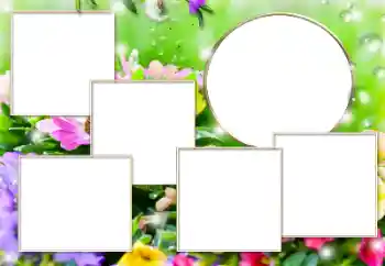 Fotoeffekt aus der Kategorie Verschiedene № 182304 Fotoeffekt aus der Kategorie Verschiedene № 182304