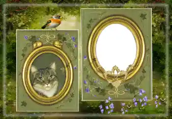 Fotoeffekt aus der Kategorie Verschiedene № 183530