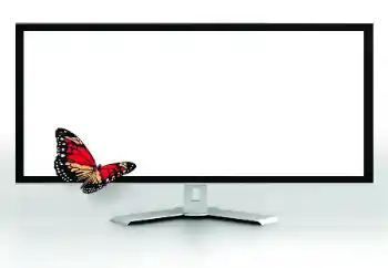 Fotoeffekt aus der Kategorie Verschiedene № 185816