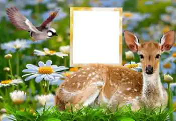 Fotoeffekt aus der Kategorie Verschiedene № 185878