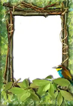 Fotoeffekt aus der Kategorie Verschiedene № 20272
