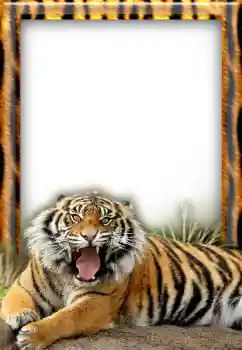 Fotoeffekt aus der Kategorie Verschiedene № 20297