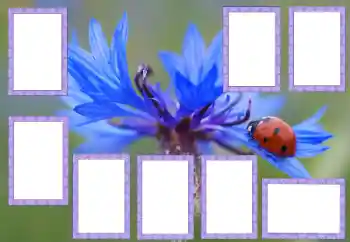 Fotoeffekt aus der Kategorie Verschiedene № 205529