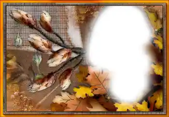 Fotoeffekt aus der Kategorie Verschiedene № 205533 Fotoeffekt aus der Kategorie Verschiedene № 205533
