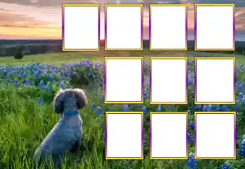 Fotoeffekt aus der Kategorie Verschiedene № 205604