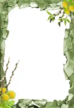 Fotoeffekt aus der Kategorie Verschiedene № 205798