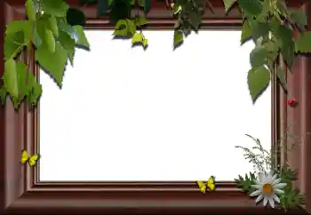 Fotoeffekt aus der Kategorie Verschiedene № 24288