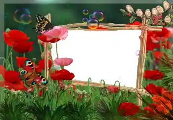 Fotoeffekt aus der Kategorie Verschiedene № 24321