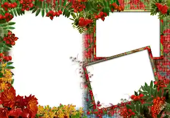 Fotoeffekt aus der Kategorie Verschiedene № 3413