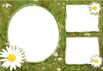 Fotoeffekt aus der Kategorie Verschiedene № 34932