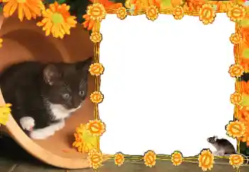 Fotoeffekt aus der Kategorie Verschiedene № 36235