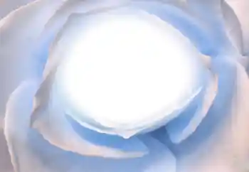 Fotoeffekt aus der Kategorie Verschiedene № 38328