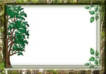 Fotoeffekt aus der Kategorie Verschiedene № 38357