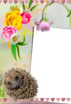 Fotoeffekt aus der Kategorie Verschiedene № 39281