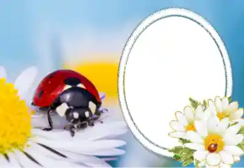 Fotoeffekt aus der Kategorie Verschiedene № 40356