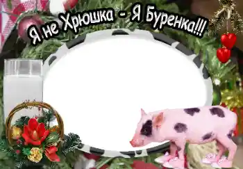 Fotoeffekt aus der Kategorie Verschiedene № 40370. Beschriftung auf dem Rahmen: Я не Хрюшка - Я Буренка!!!