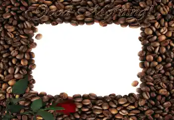 Fotoeffekt aus der Kategorie Verschiedene № 47320. Beschriftung auf dem Rahmen: Guten Morgen!