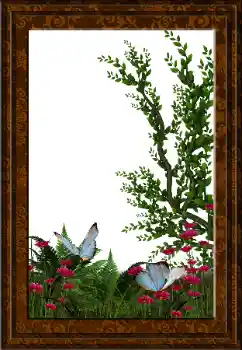 Fotoeffekt aus der Kategorie Verschiedene № 52231