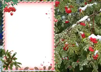 Fotoeffekt aus der Kategorie Verschiedene № 581