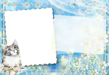Fotoeffekt aus der Kategorie Verschiedene № 67194