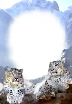 Fotoeffekt aus der Kategorie Verschiedene № 68679