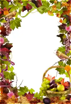 Fotoeffekt aus der Kategorie Verschiedene № 81650