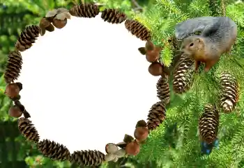 Fotoeffekt aus der Kategorie Verschiedene № 8682