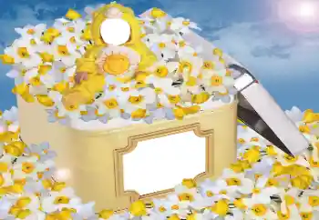 Fotoeffekt aus der Kategorie Für Kinder № 33984