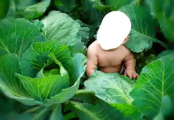 Fotoeffekt aus der Kategorie Für Kinder № 90533