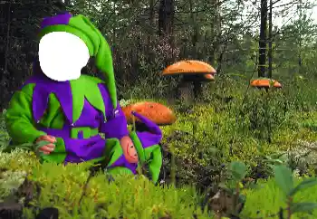 Fotoeffekt aus der Kategorie Für Kinder № 90549
