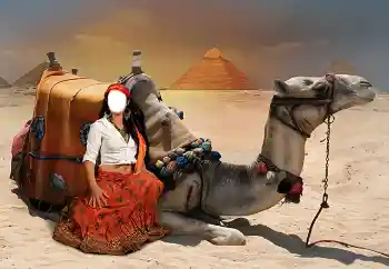 Fotoeffekt aus der Kategorie Für Frauen № 38344