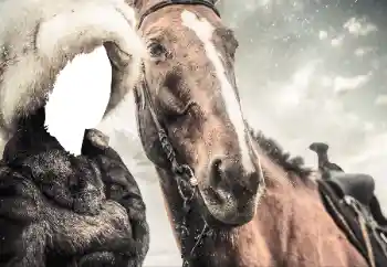 Fotoeffekt aus der Kategorie Für Frauen № 38493