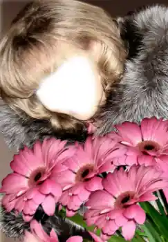 Fotoeffekt aus der Kategorie Für Frauen № 38949